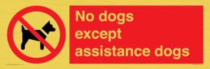 No dogs except assistance dogs